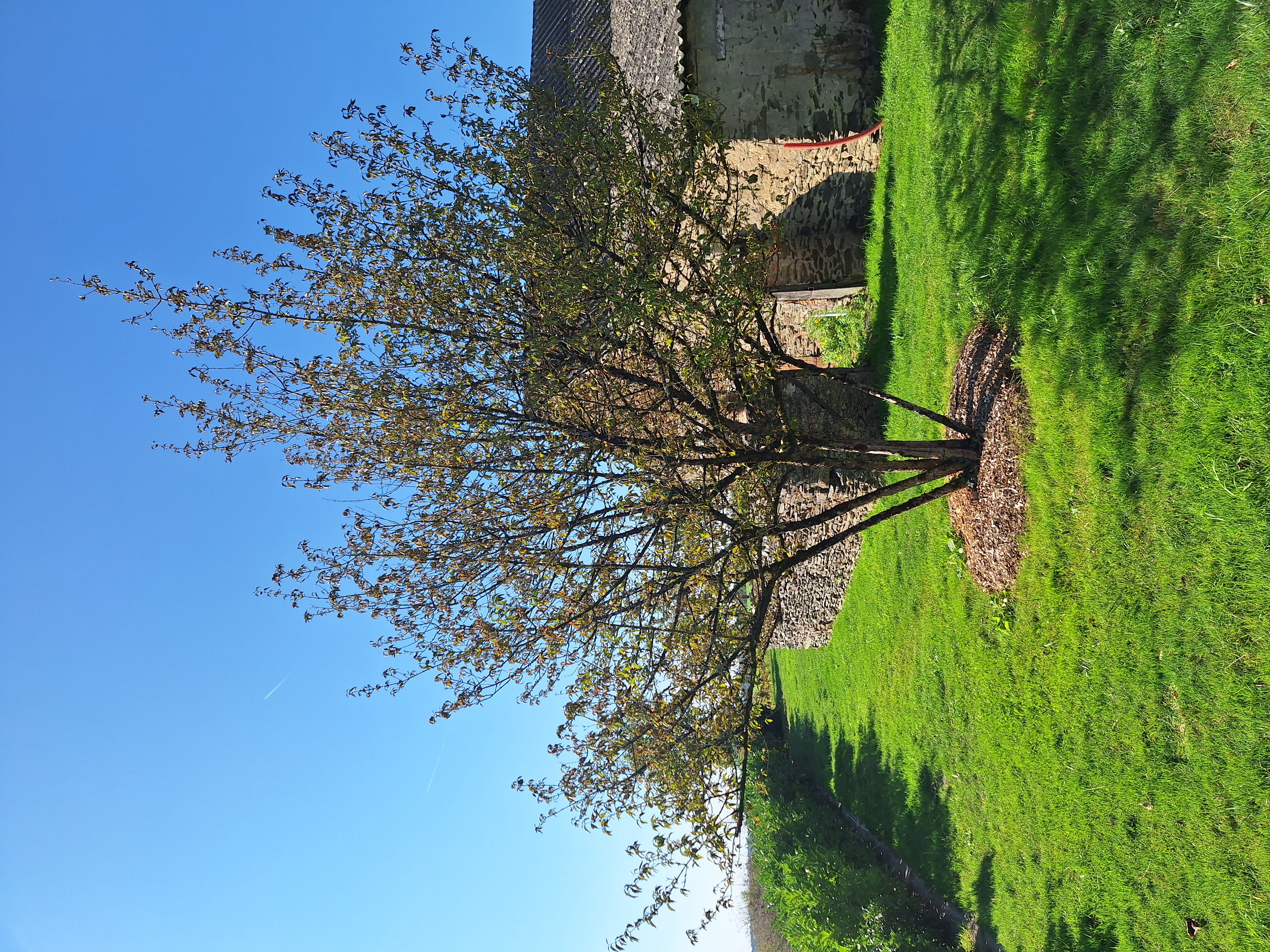 Jardin privé, Longuenée-en-Anjou