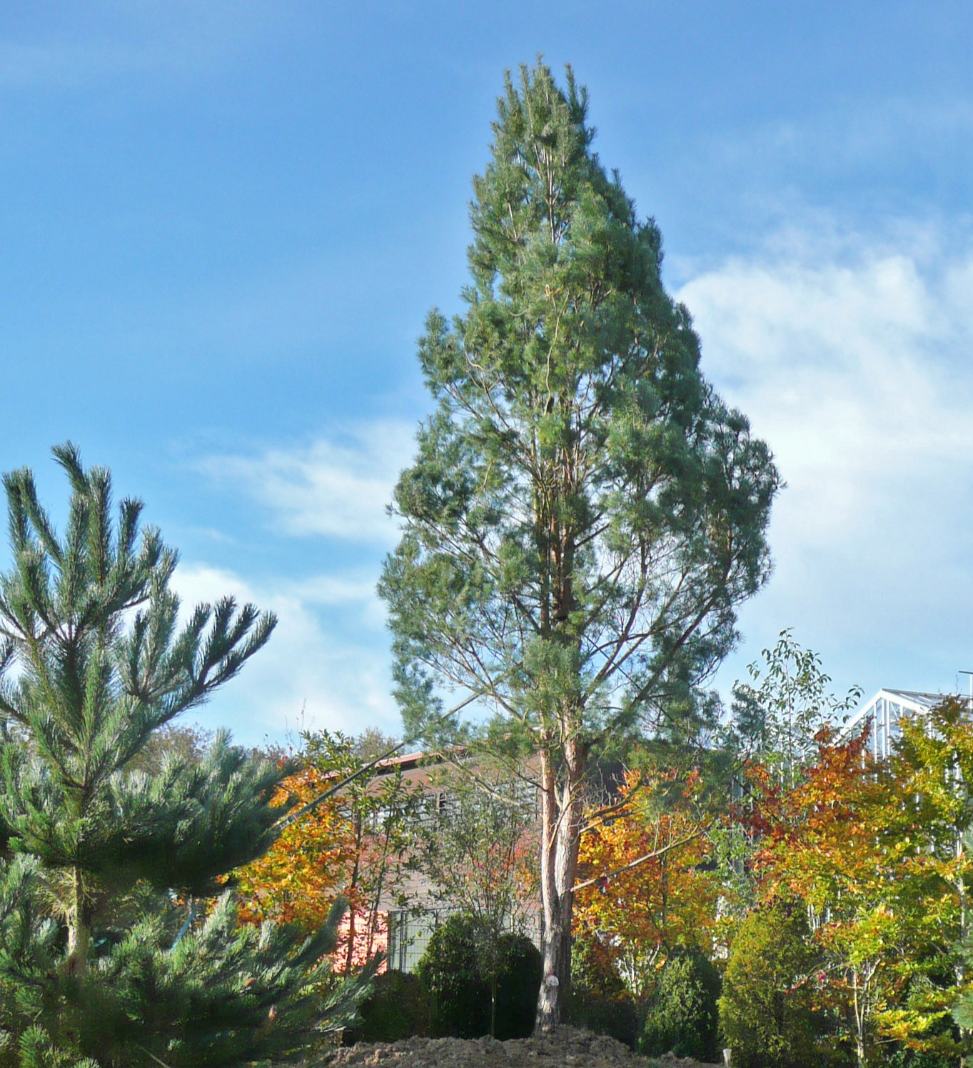 Terra Botanica, Avrillé