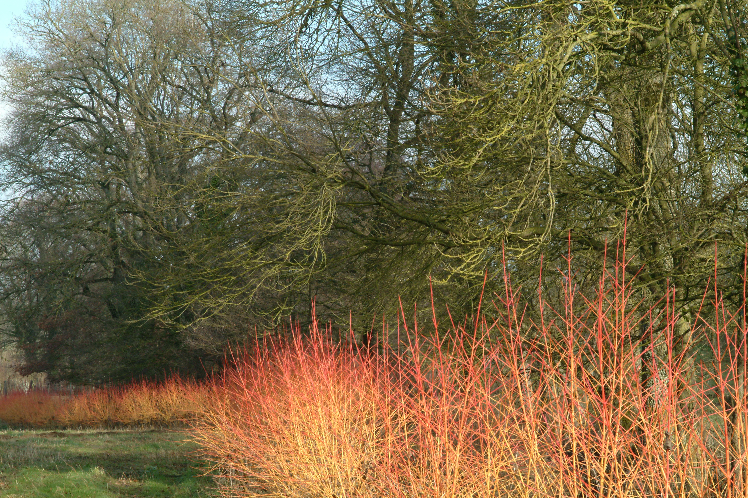 Le Parc — photo 2
