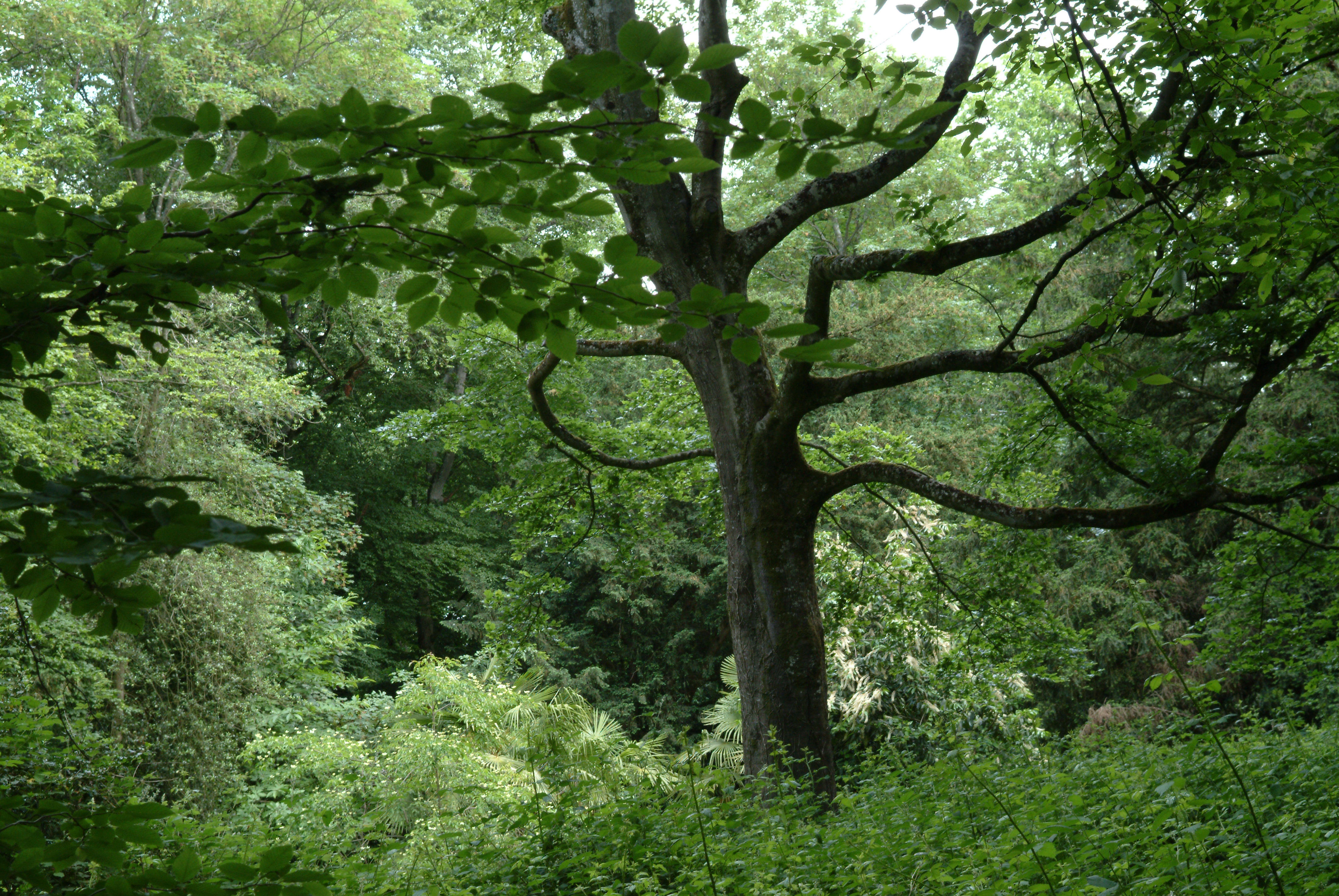 Le Parc — photo 7