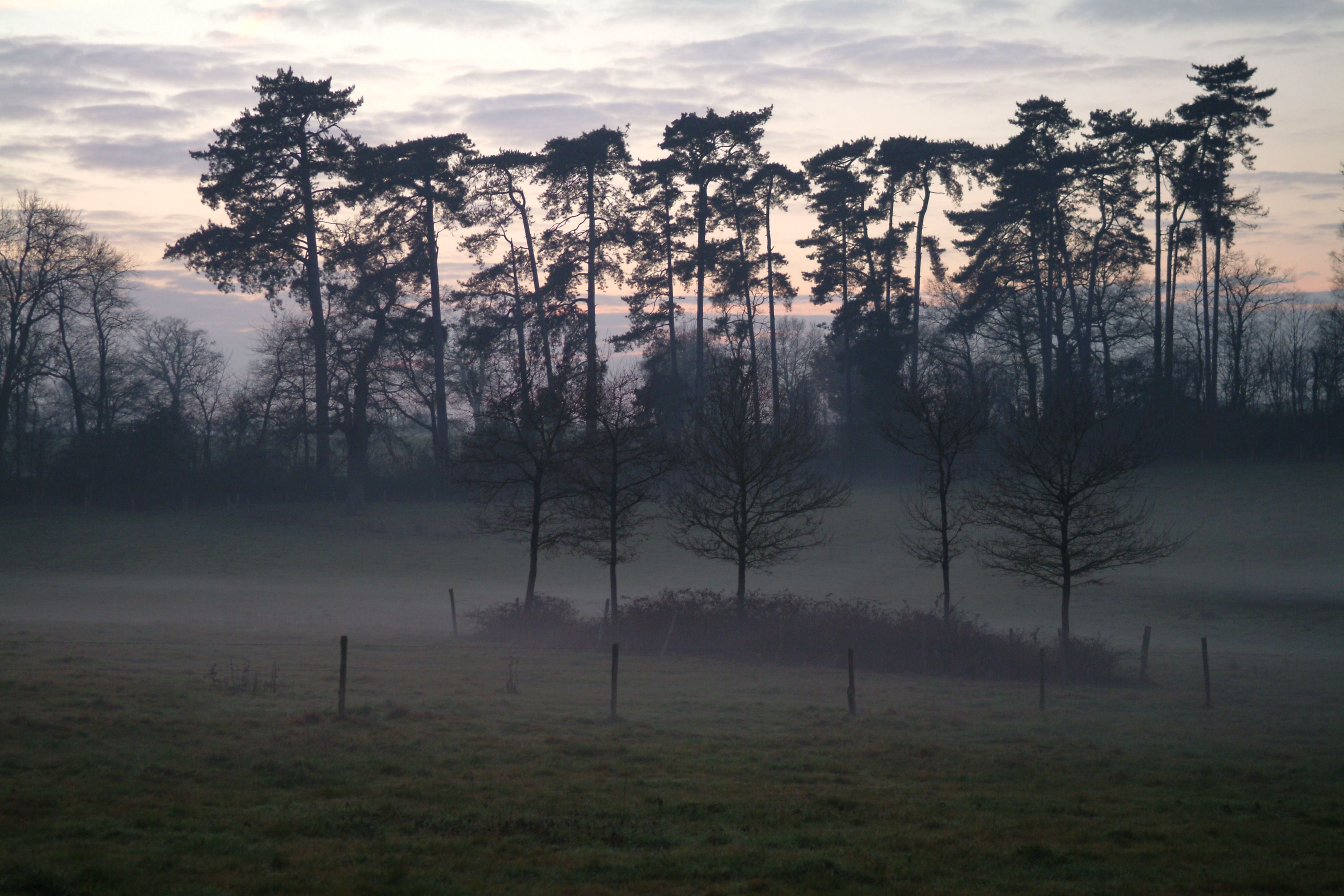 Le Parc — photo 4