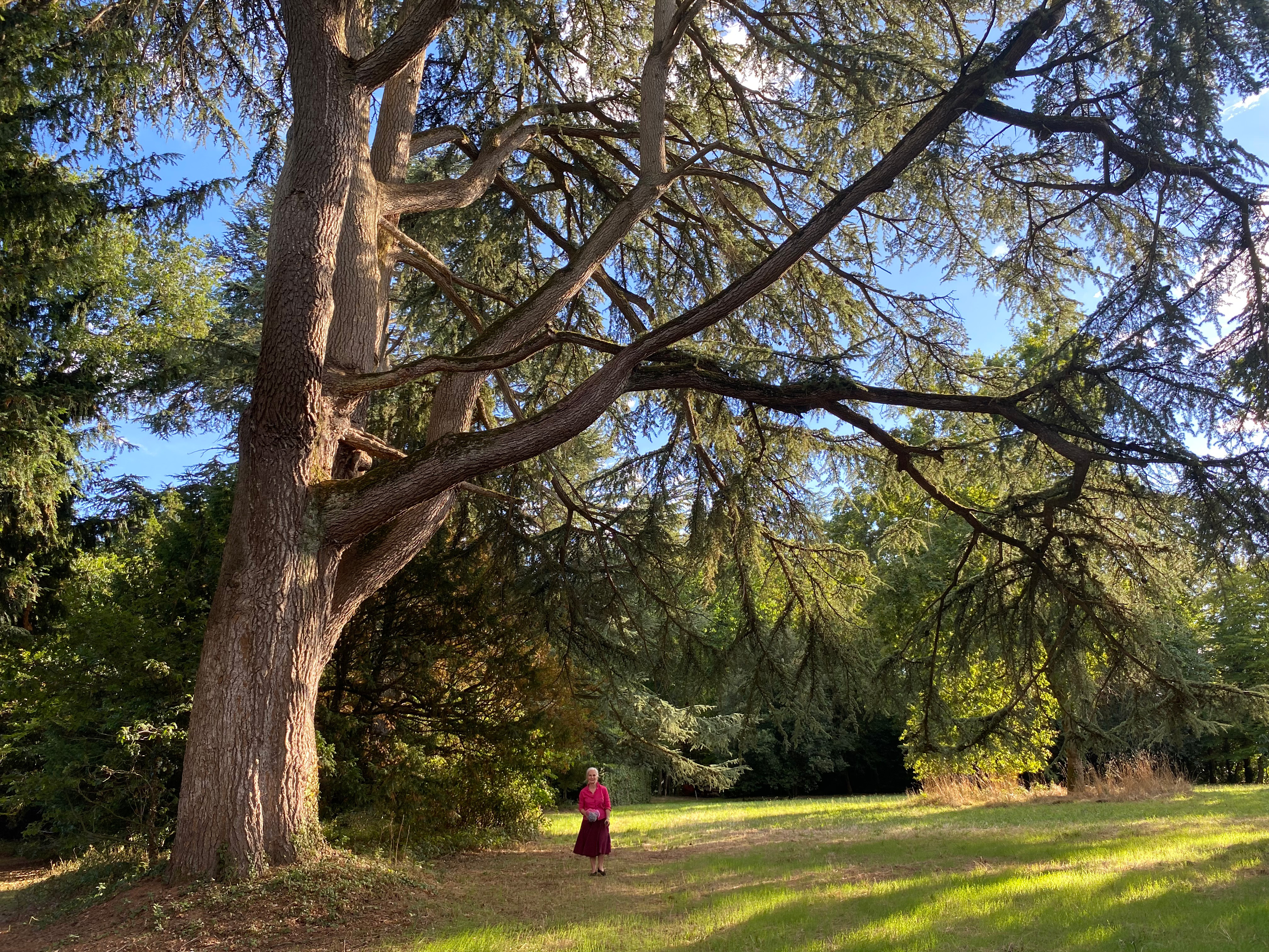 Le Parc — photo 6