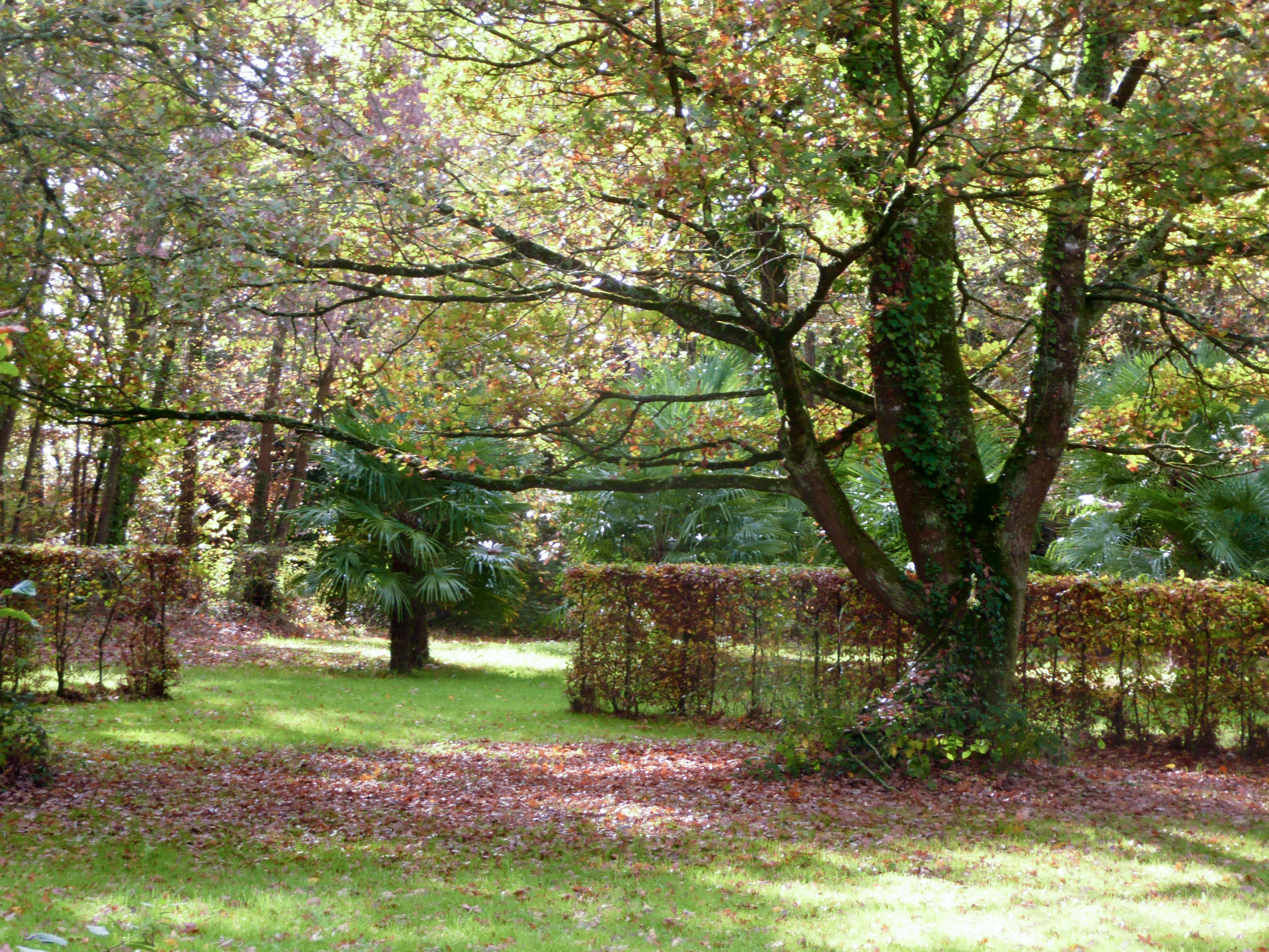Le Parc — photo 3