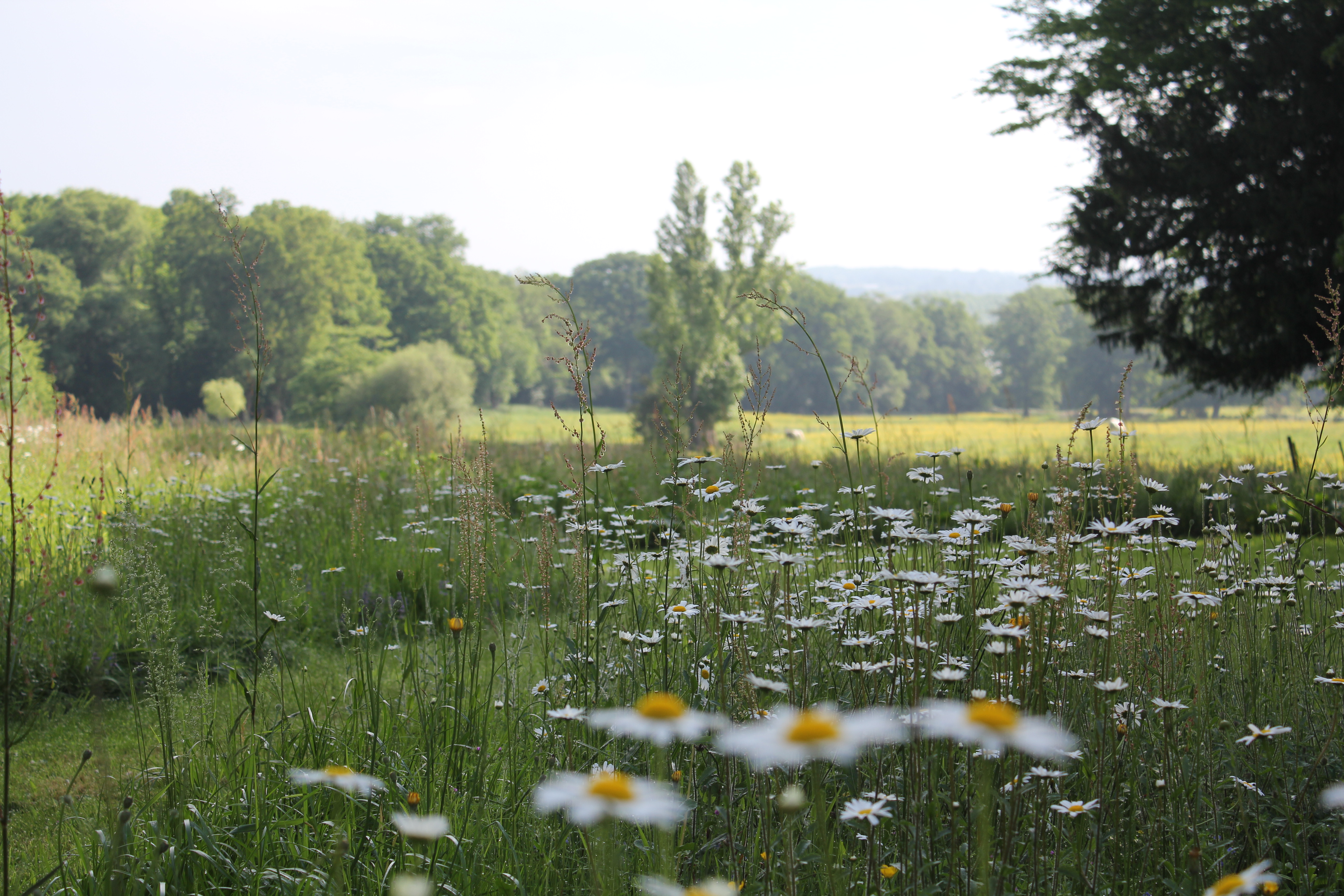 Le Parc — photo 5