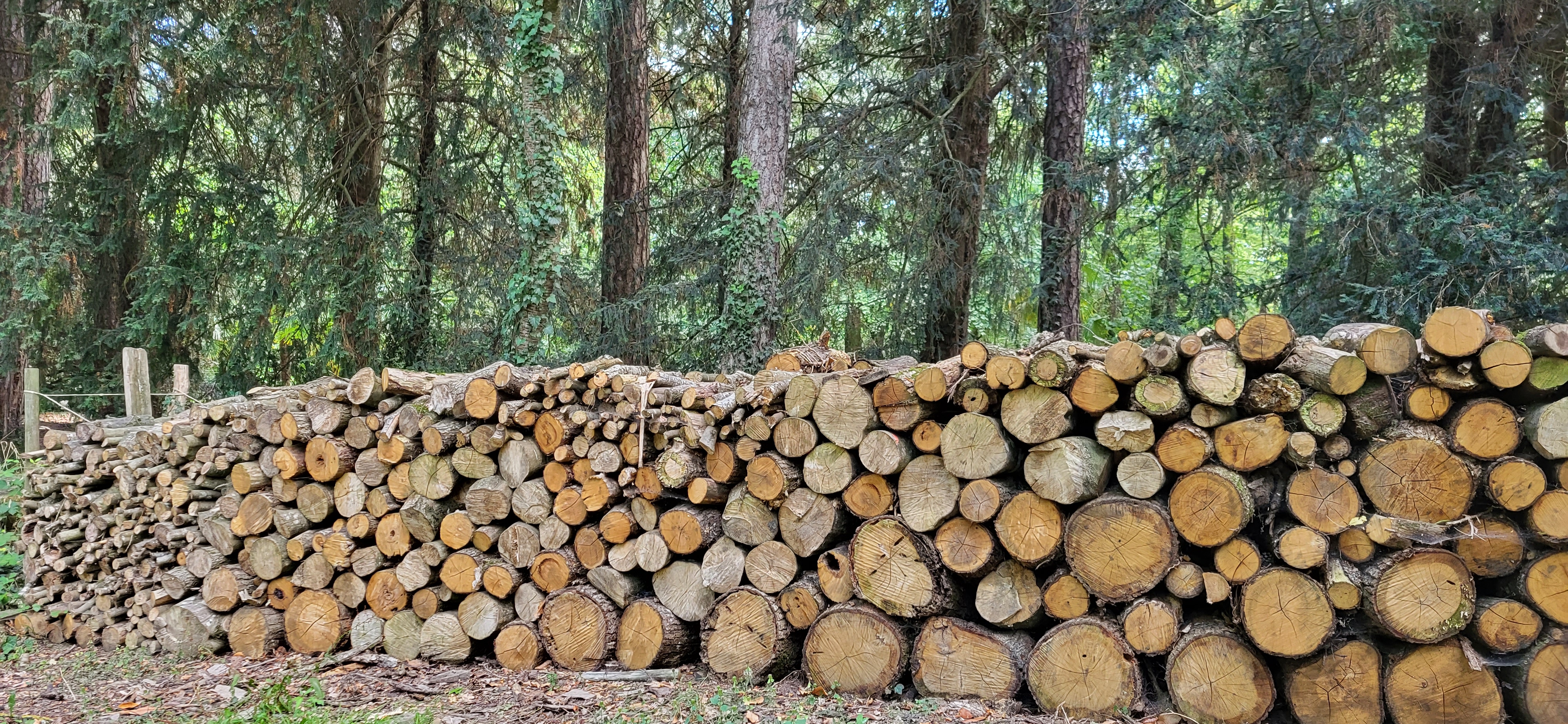 Une économie de la lisière