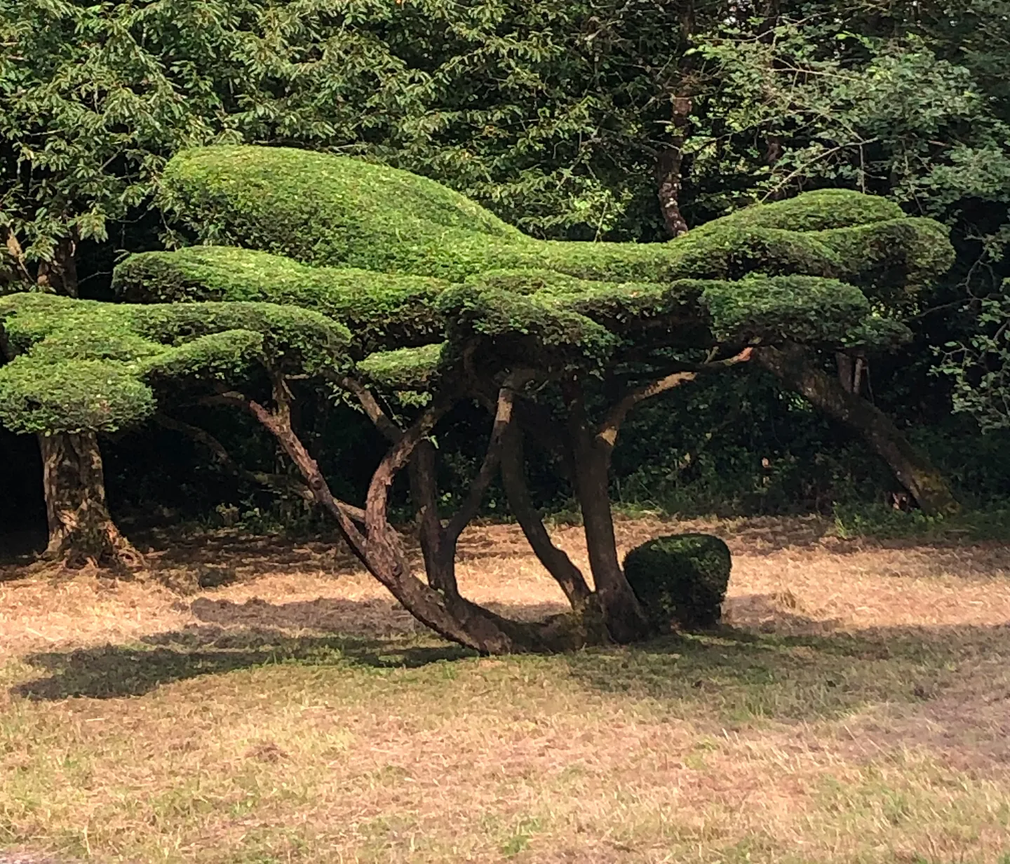 Un parc agricole historique